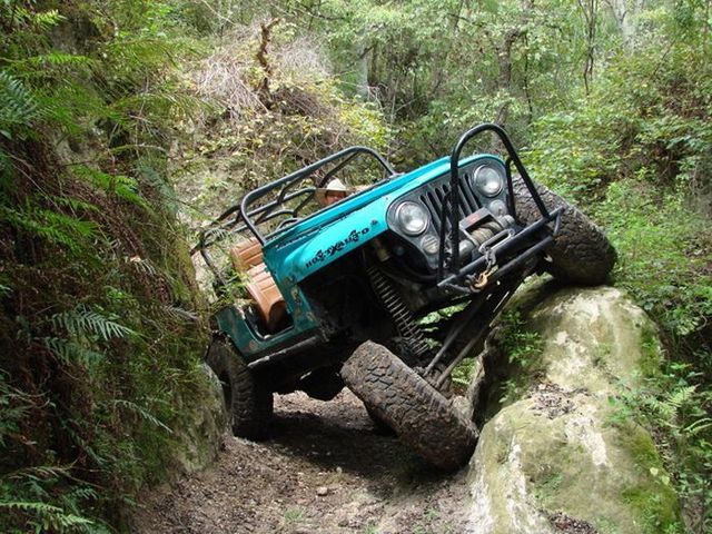 Impressive off-road Jeeps (21 photos)