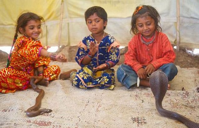 Very small snake charmers (15 pics)