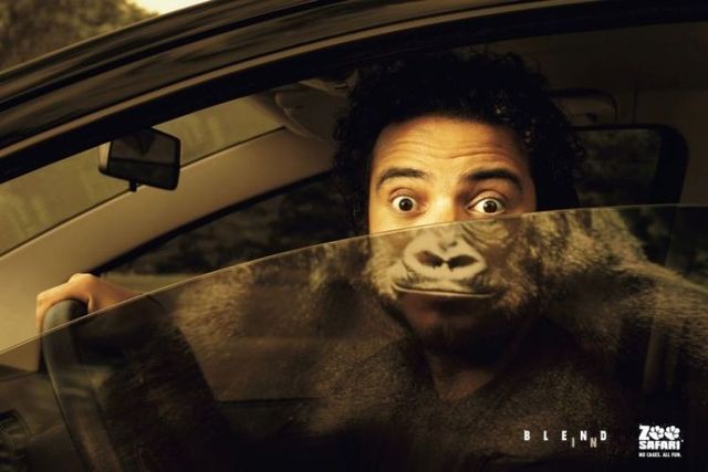 Daily picdump (103 pics)