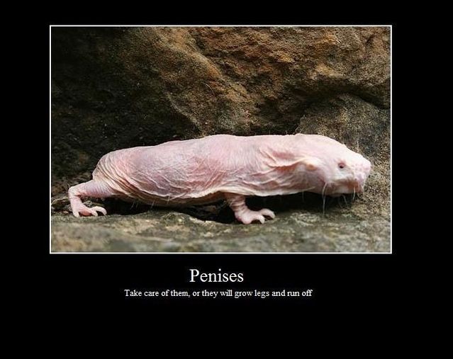 Daily picdump (103 pics)