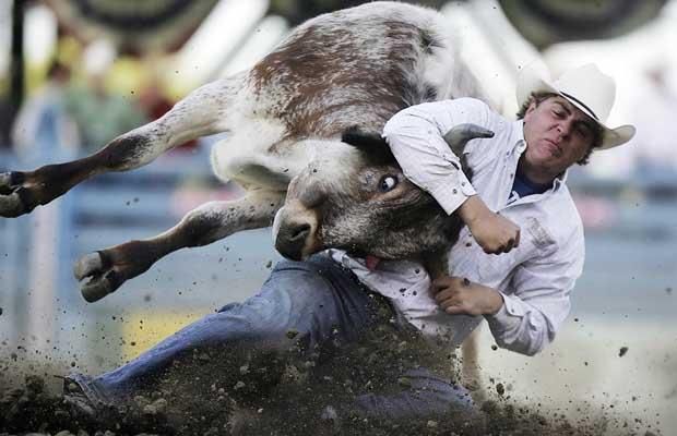 Daily picdump (103 pics)