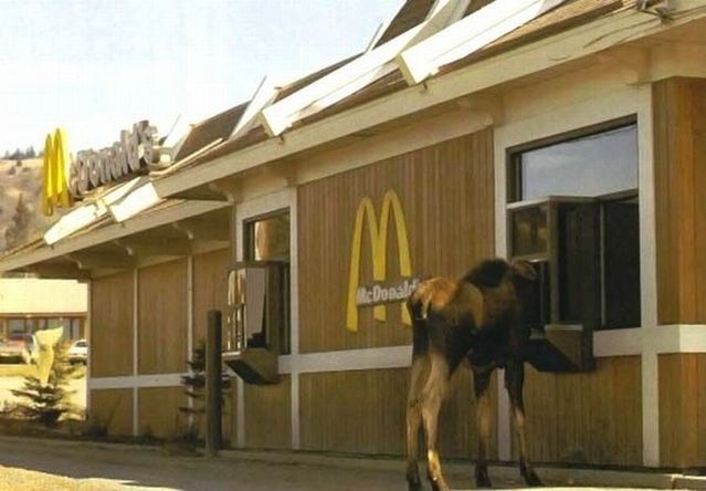 Daily picdump (103 pics)