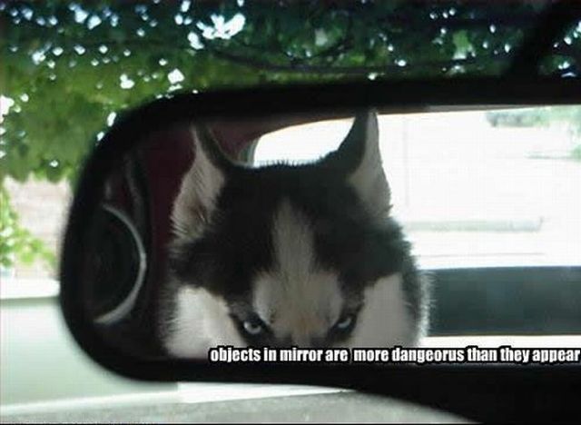 Daily picdump (103 pics)