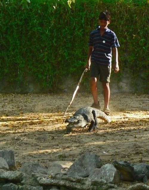 Daily picdump (103 pics)