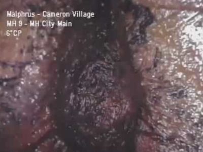Aliens have come on Earth and they are very ugly!! (1 video) Aliens have come on Earth and they are very ugly!! (1 video)