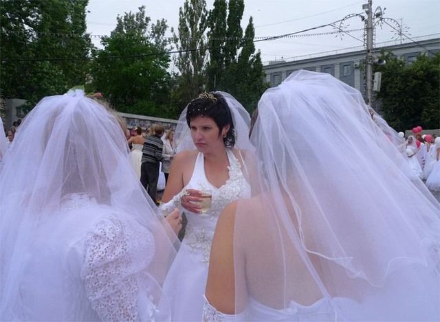 Tags Russian Bride Bride 73
