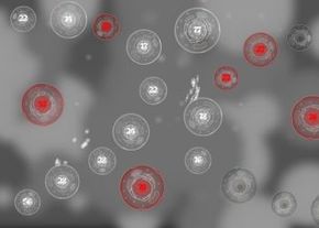 Phage Wars 2