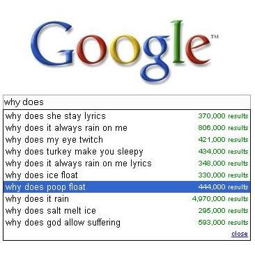 funny google search suggestions. Some researches are so funny
