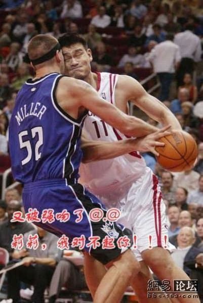 funny basketball pictures. Return to Funny basketball (46