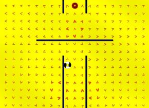 Disk Field