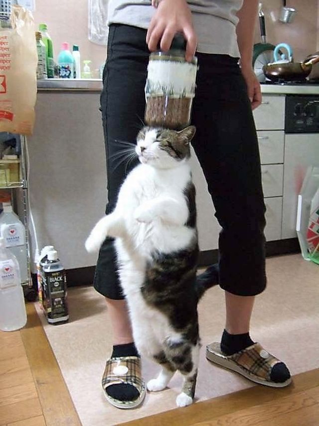 Daily picdump (106 pics)