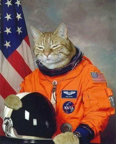 Daily picdump (127 pics)