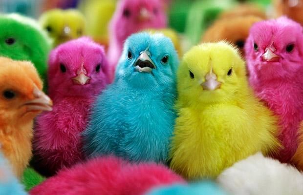 Daily picdump (127 pics)