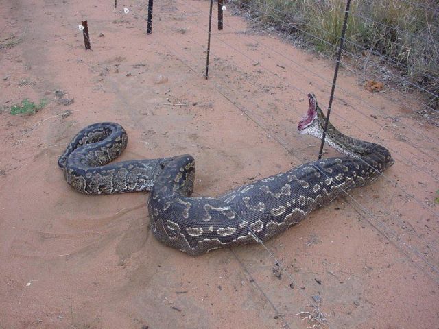 Daily picdump (127 pics)