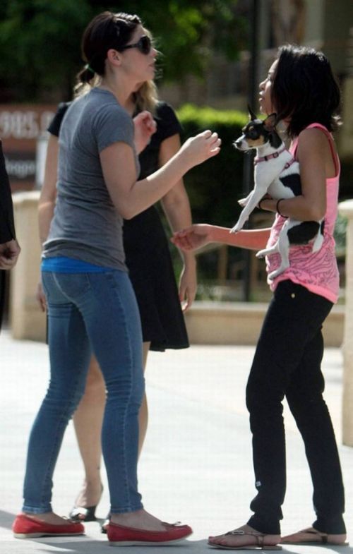 Ashley Greene meets with her friends (17 pics)