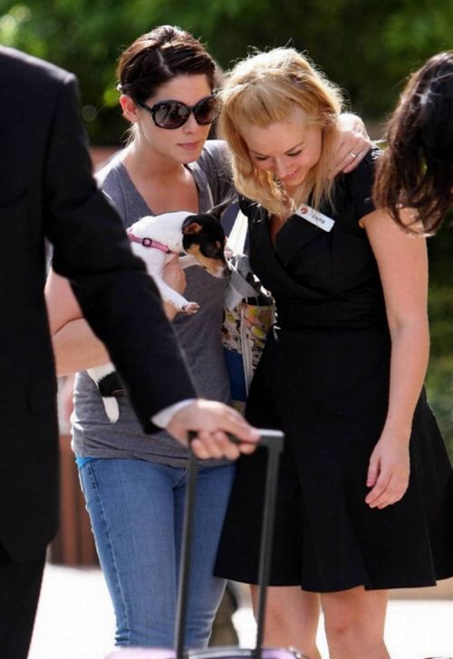 Ashley Greene meets with her friends (17 pics)
