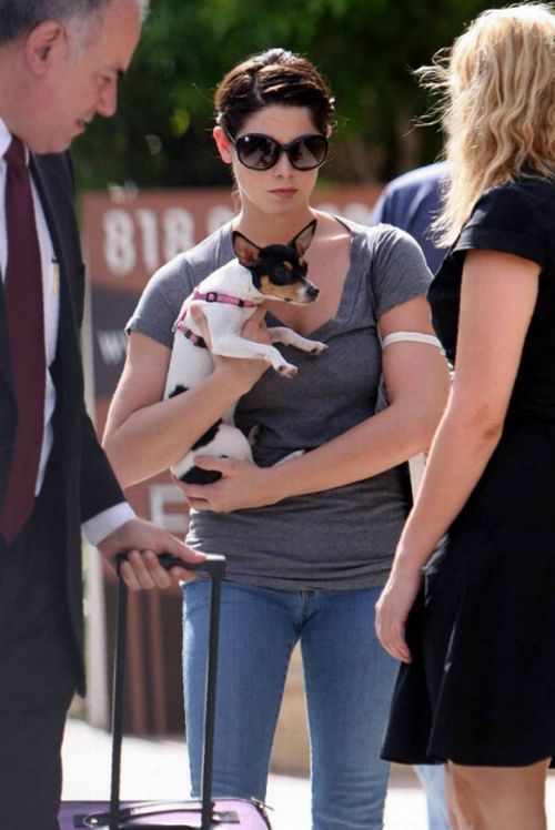 Ashley Greene meets with her friends (17 pics)