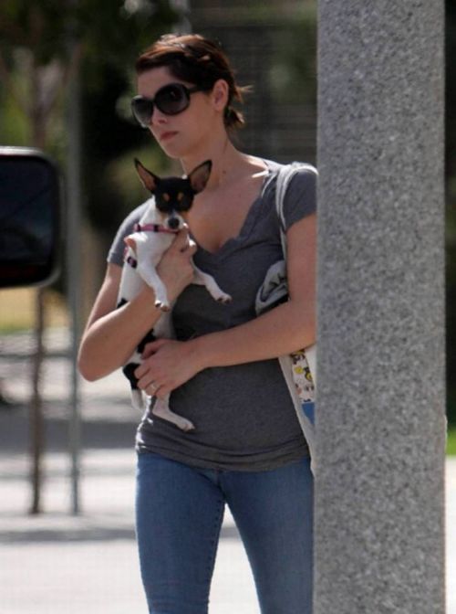 Ashley Greene meets with her friends (17 pics)