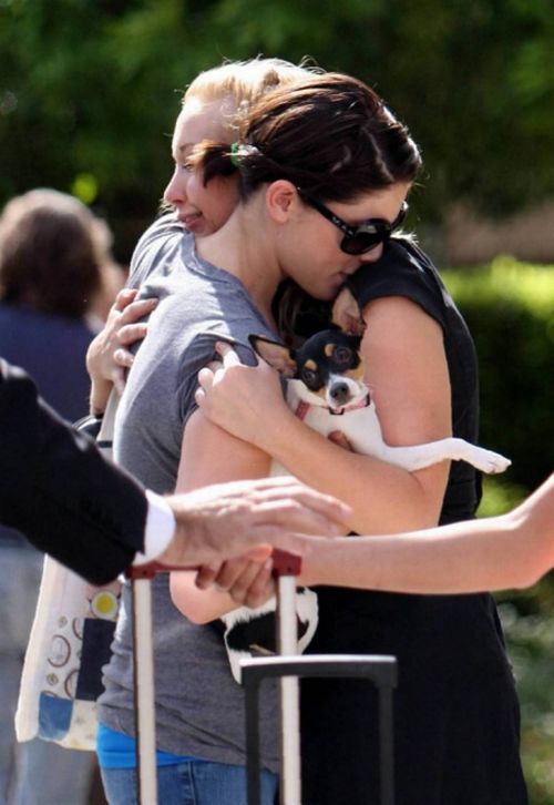 Ashley Greene meets with her friends (17 pics)