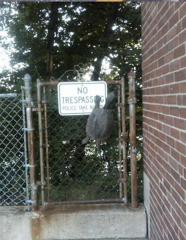 Daily picdump (153 pics)