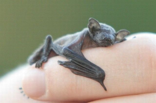 Daily picdump (153 pics)