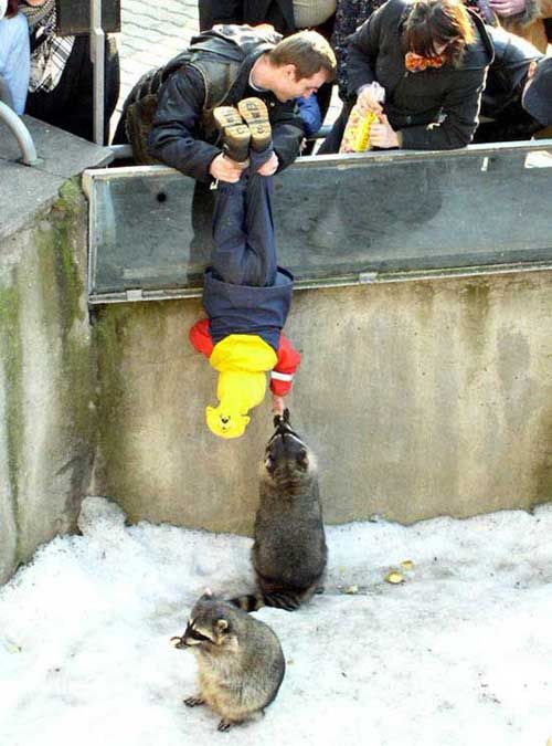 Bad parents. Part 2 (51 pics)