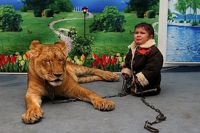 Bad parents. Part 2 (51 pics)