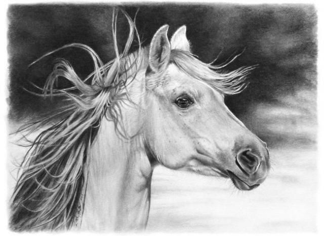 21 Another set of pencil drawings 40 pics 