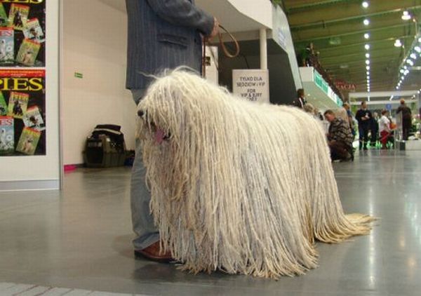 Daily picdump (121 pics)