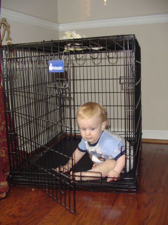 Children in cages (30 pics) - Izismile.com