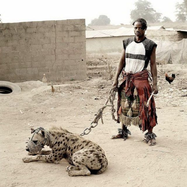 What do they have as pets in Africa (14 pics)