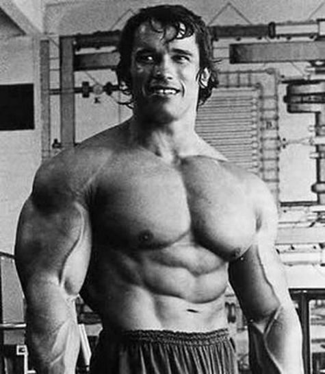 arnold schwarzenegger son. arnold schwarzenegger son