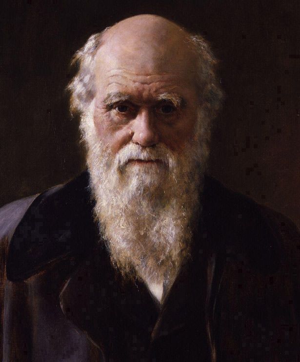 100+ portraits of the most iconic people throughout history (134 pics)