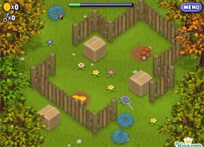 Mushroom Madness
