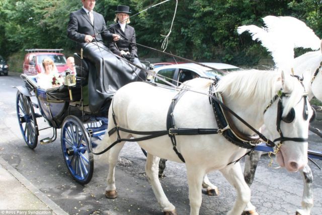 Spoiled wedding album (8 pics + 1 video)