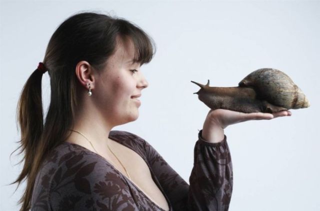 Guinness World Records (52 guinness world records. Guinness World Records (52