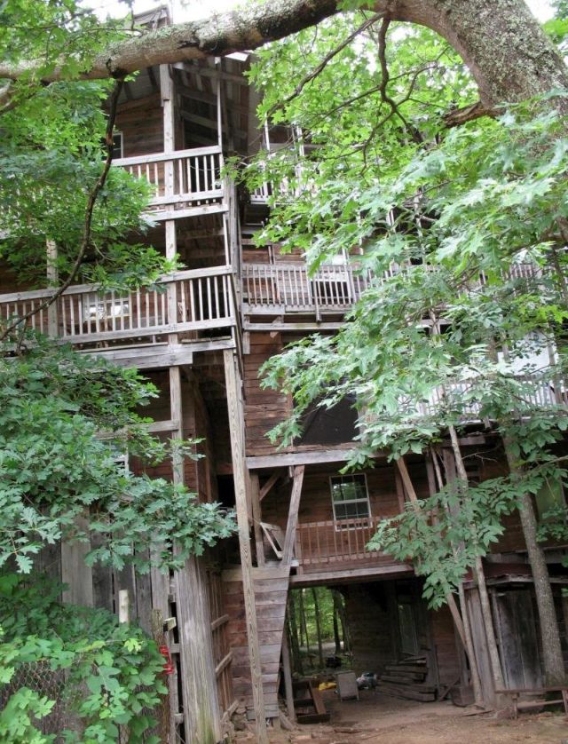 Largest treehouse in the world (25 pics)
