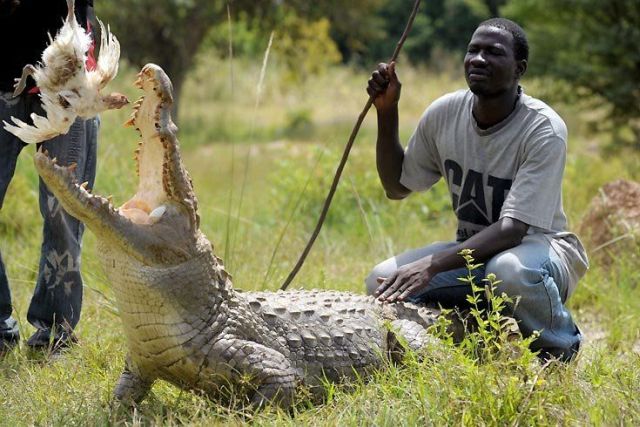Daily picdump (118 pics)