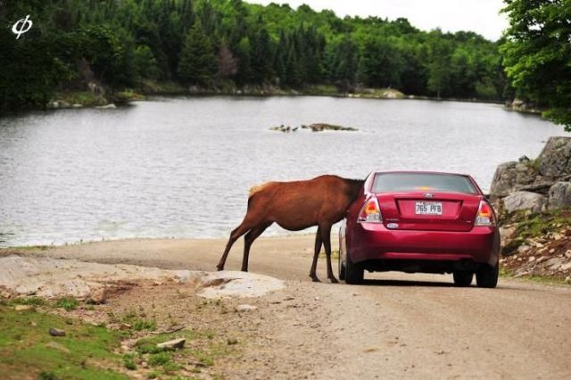 Daily picdump (111 pics)