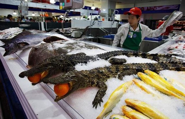 Daily picdump (111 pics)