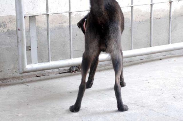 Funny Couple (17 pics)