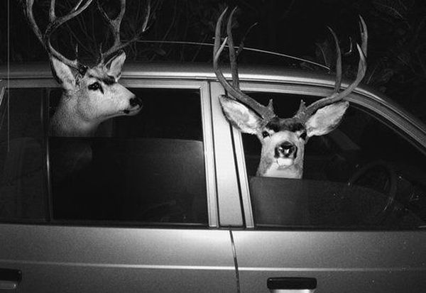 Daily picdump (118 pics)