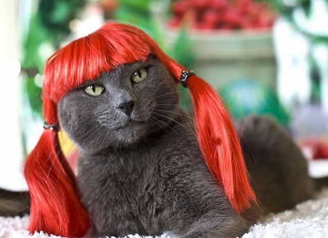 Daily picdump (118 pics)
