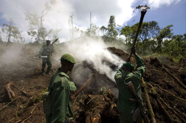Life, death and money of mafia in the Congo (58 pics)