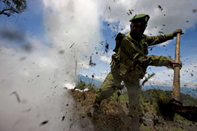 Life, death and money of mafia in the Congo (58 pics)