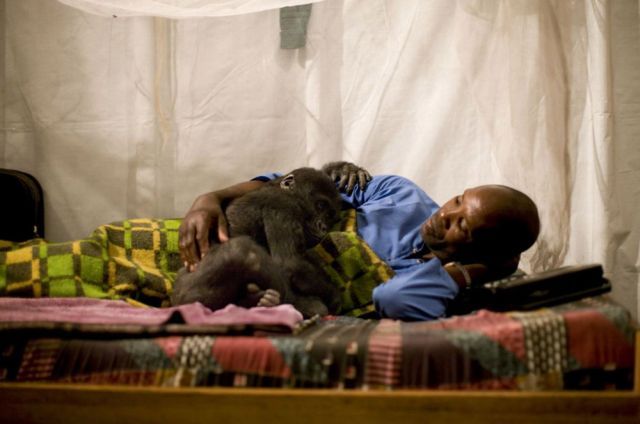 Life, death and money of mafia in the Congo (58 pics)