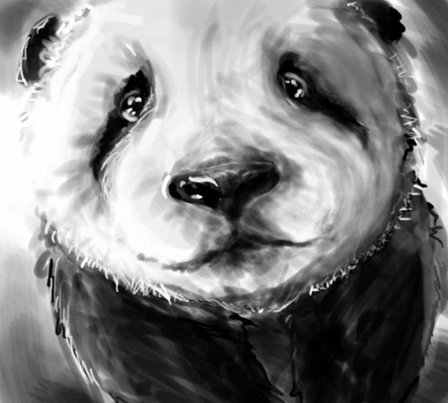 23 Great Drawings with Pandas 25 pics 
