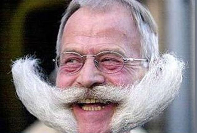 Coolest and Funniest Beards and Moustaches (34 pics)