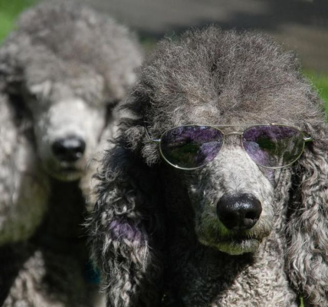 Daily picdump (116 pics)