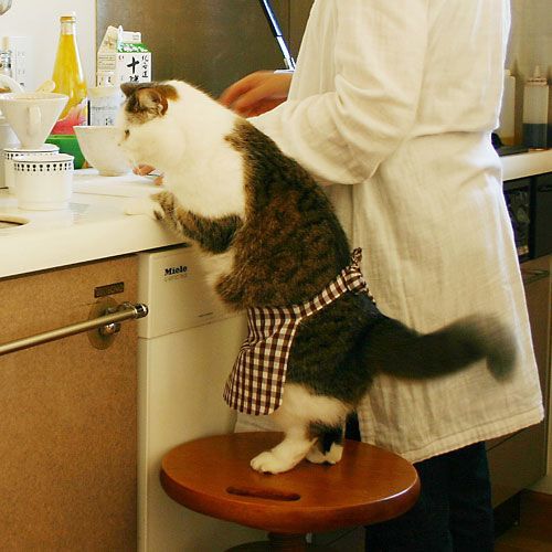 Daily picdump (153 pics)